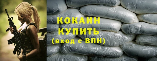 кокс Алексин