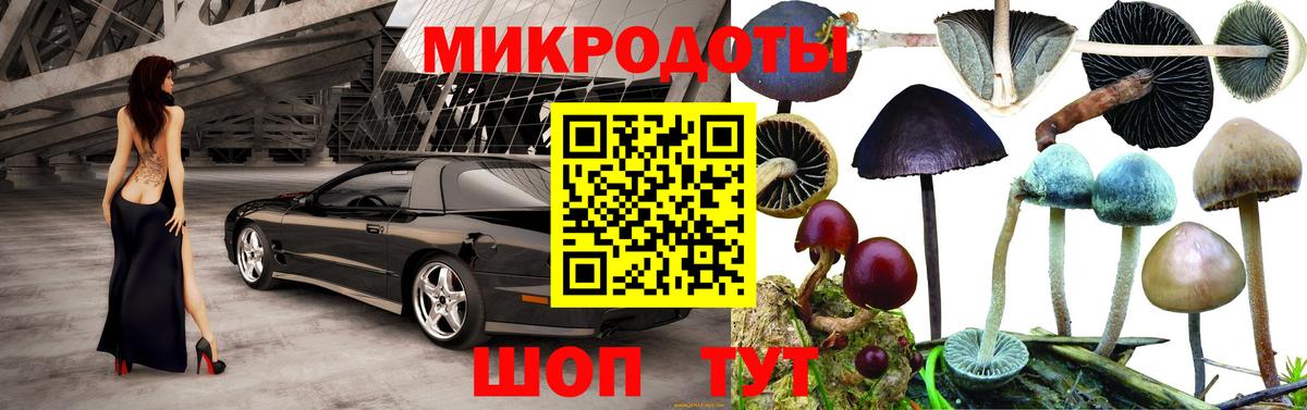 Галлюциногенные грибы Magic Shrooms Гуково